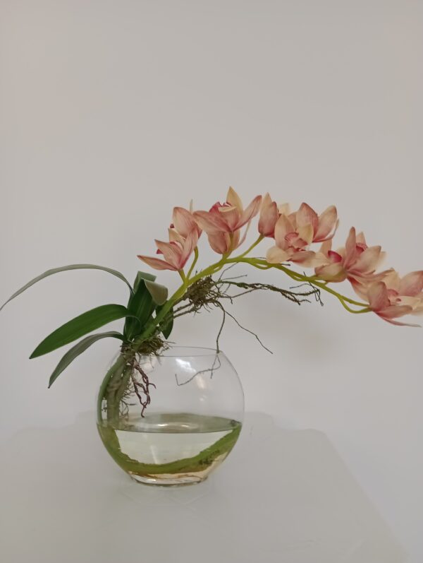 Arranjo Orquídea Cymbidium